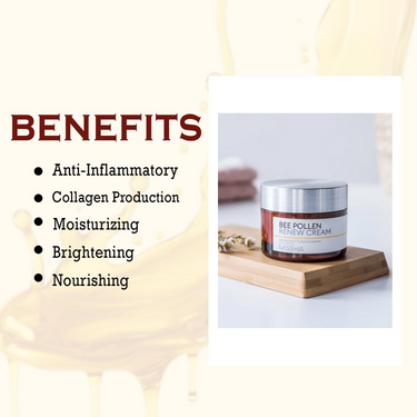 https://cdn.shopify.com/s/files/1/1857/6931/files/Ow6swnSLFI.png?v=1724674083
